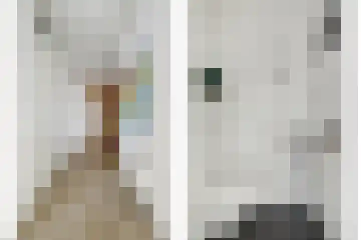 Amerikalaan 669 Utrecht thumbnail 19