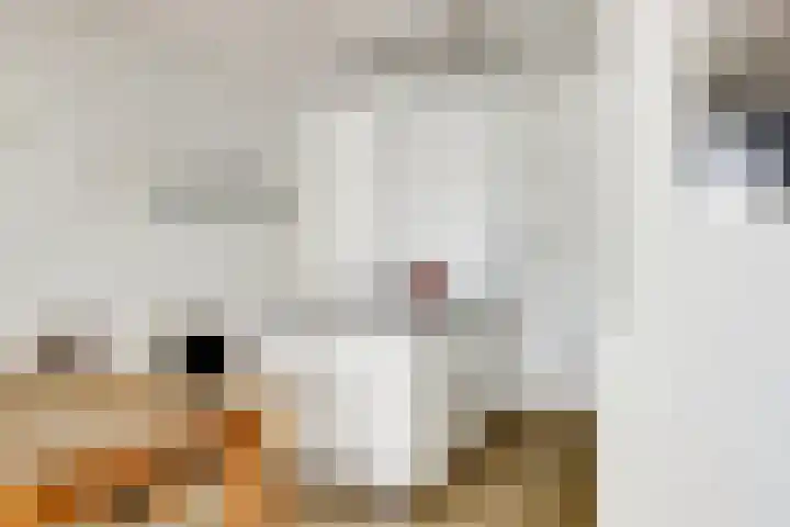 Amerikalaan 669 Utrecht thumbnail 9
