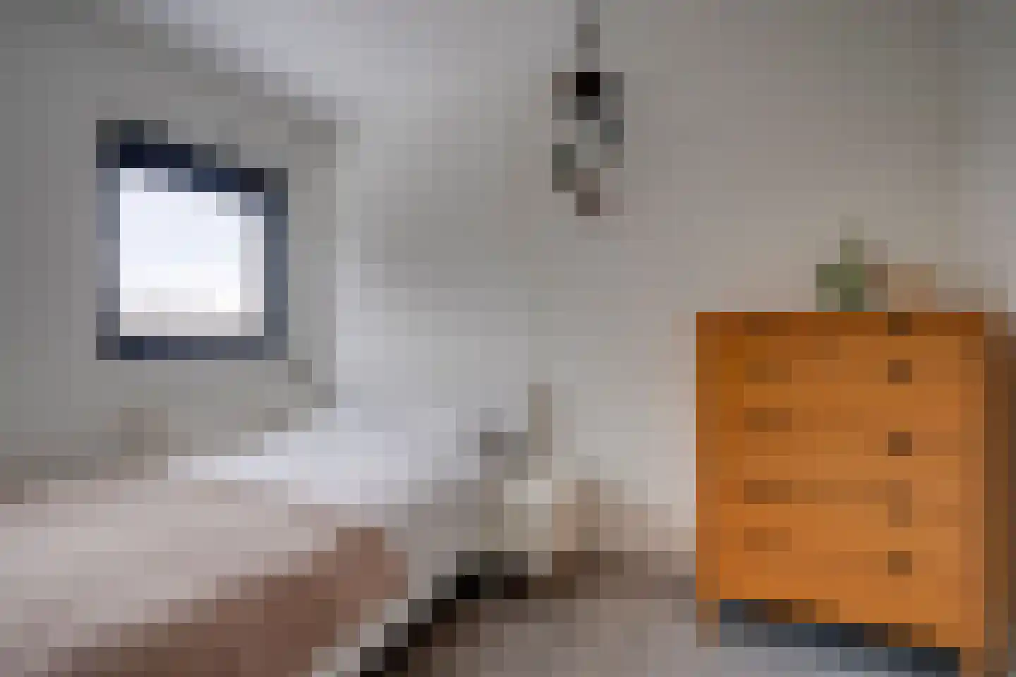 Amerikalaan 685 Utrecht thumbnail 20