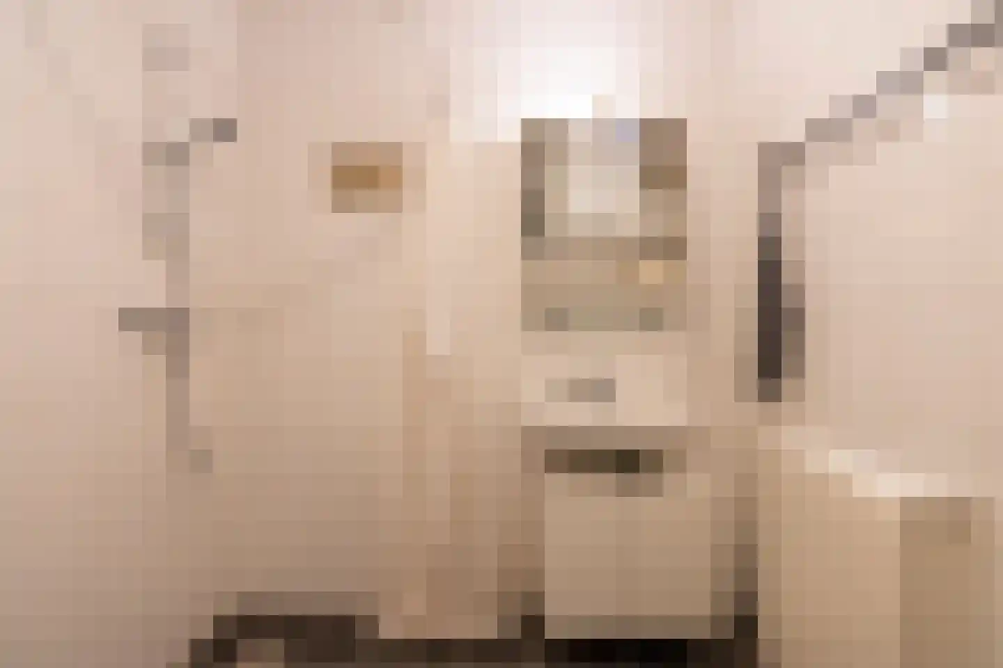 Amerikalaan 685 Utrecht thumbnail 24