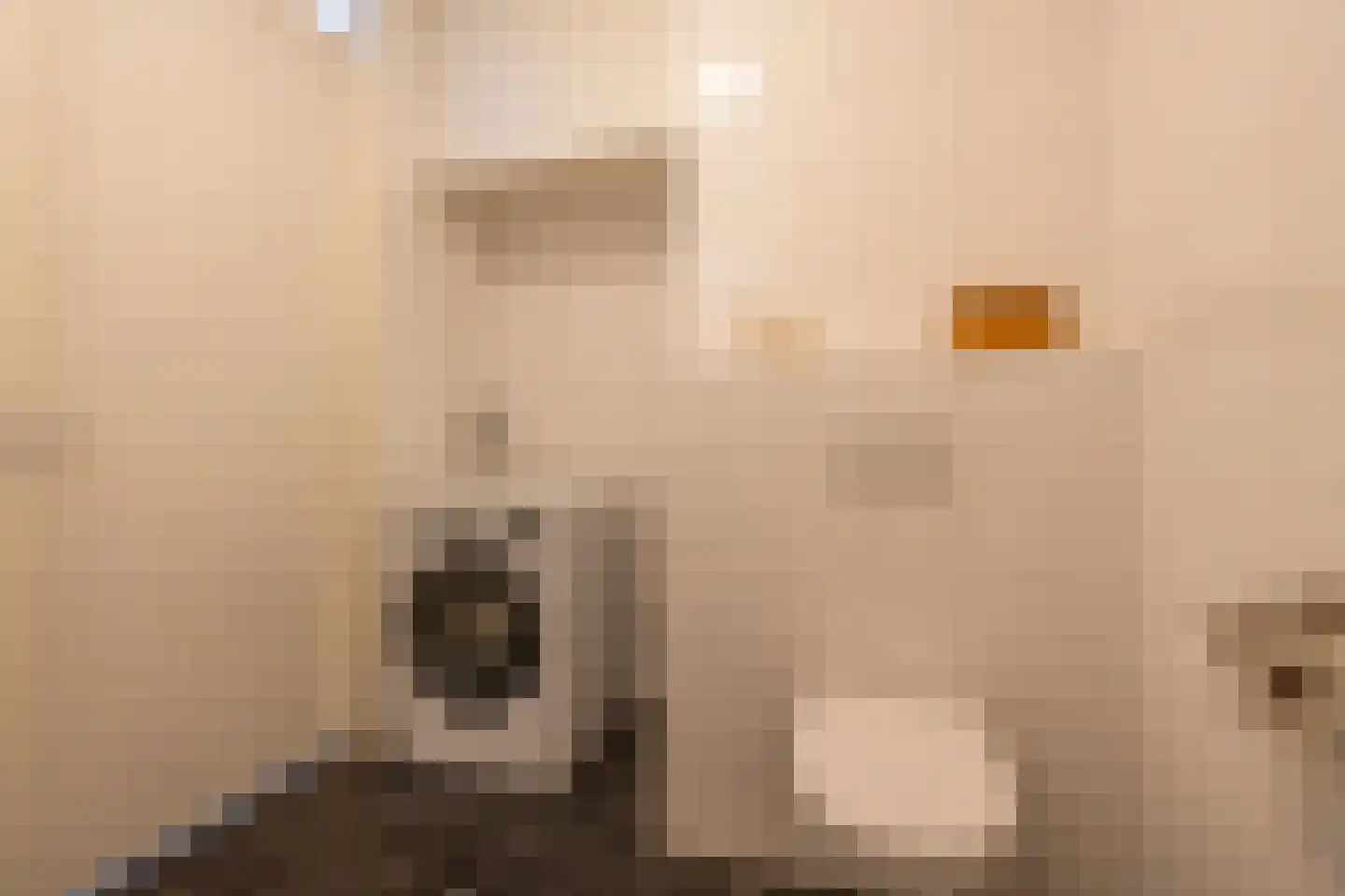 Amerikalaan 685 Utrecht thumbnail 25
