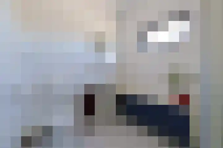 Amerikalaan 95 Alphen aan den Rijn thumbnail 32