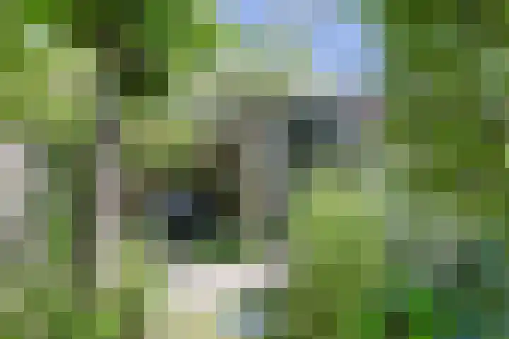Amerikalaan 95 Alphen aan den Rijn thumbnail 48