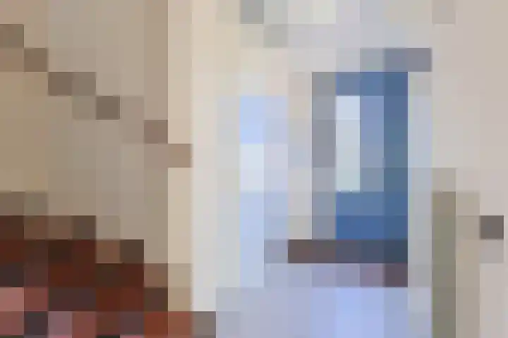 Amerikalaan 95 Alphen aan den Rijn thumbnail 6