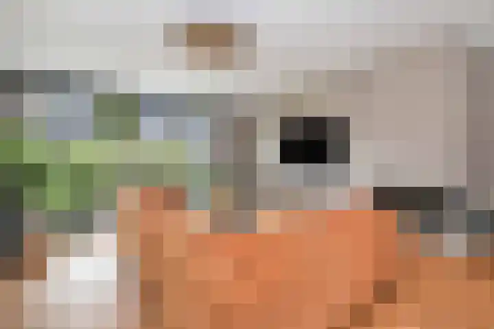 Amerikaring 16 Amersfoort thumbnail 18