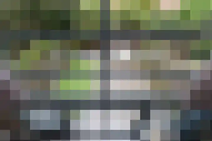Amerikaring 16 Amersfoort thumbnail 19