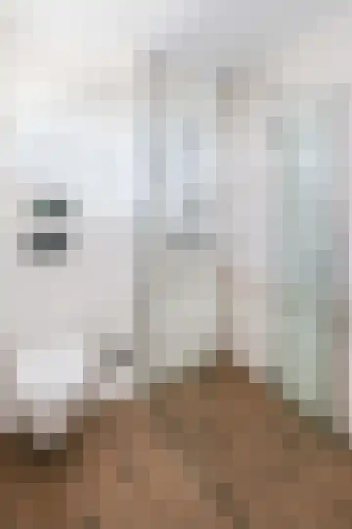 Amerikaring 16 Amersfoort thumbnail 31