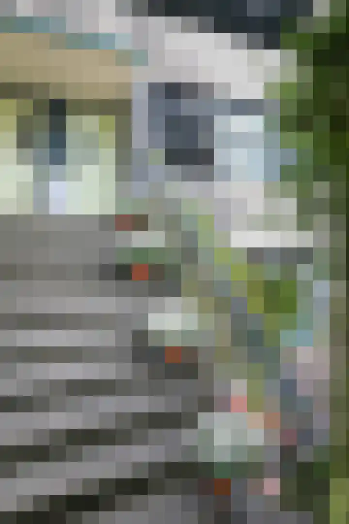Amerikaring 16 Amersfoort thumbnail 48
