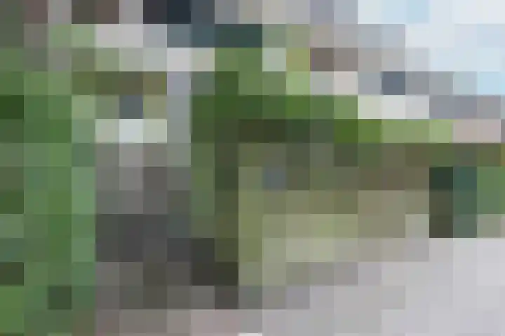 Amerikaring 16 Amersfoort thumbnail 6