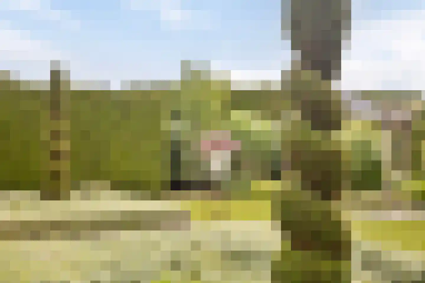 Amerikaweg 10 Beekbergen thumbnail 43