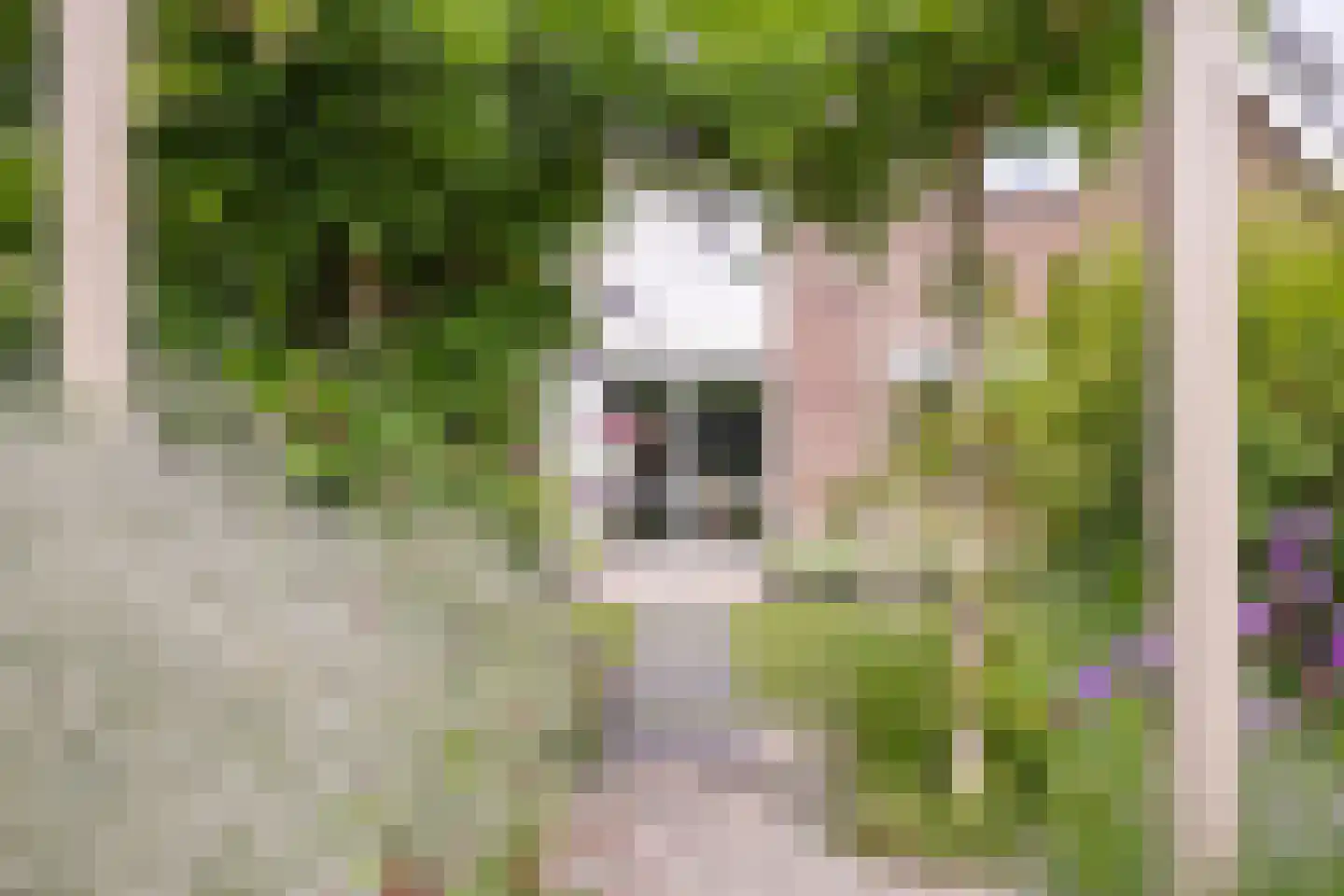 Amerikaweg 10 Beekbergen thumbnail 44