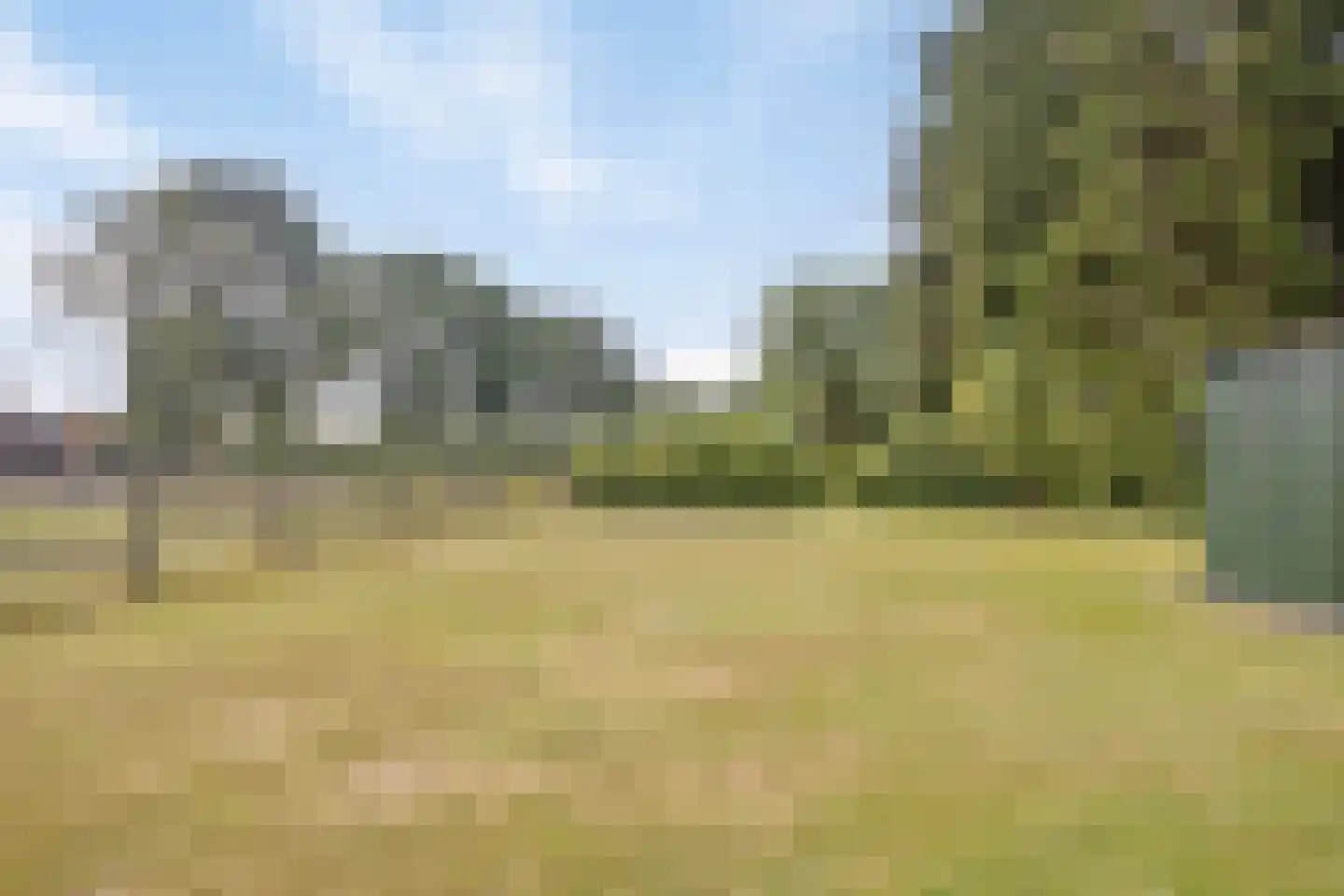 Amerikaweg 10 Beekbergen thumbnail 52