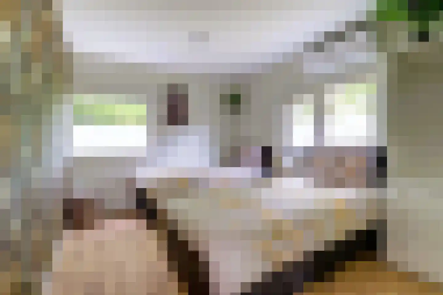 Amerikaweg 5 Beekbergen thumbnail 123