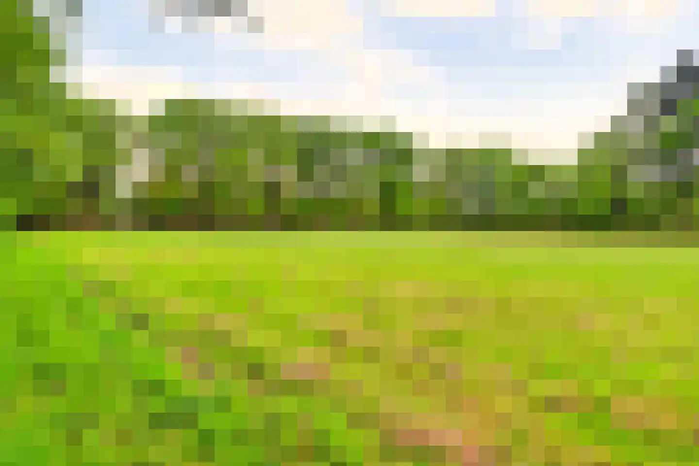 Amerikaweg 5 Beekbergen thumbnail 141