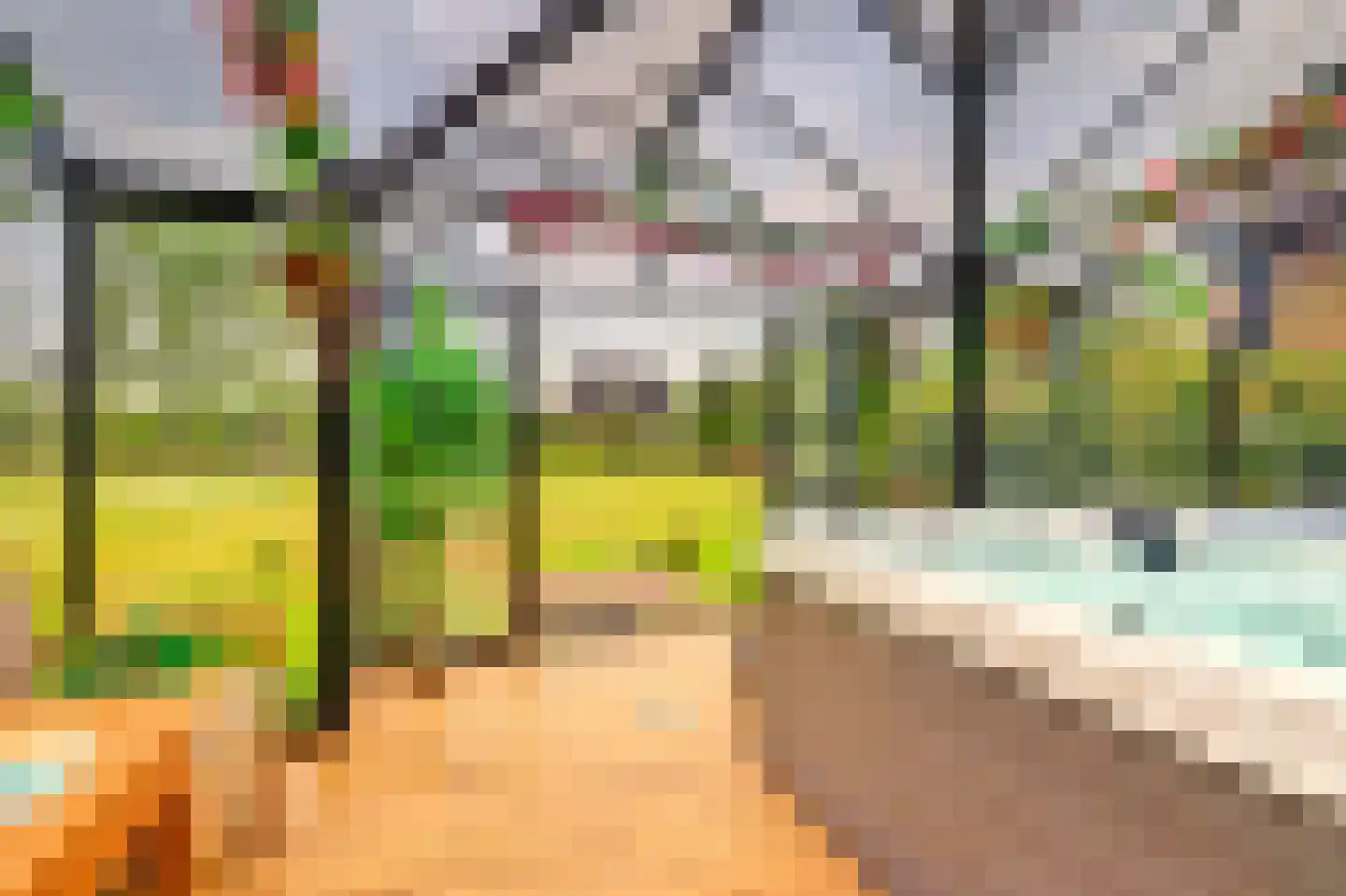 Amerikaweg 5 Beekbergen thumbnail 148