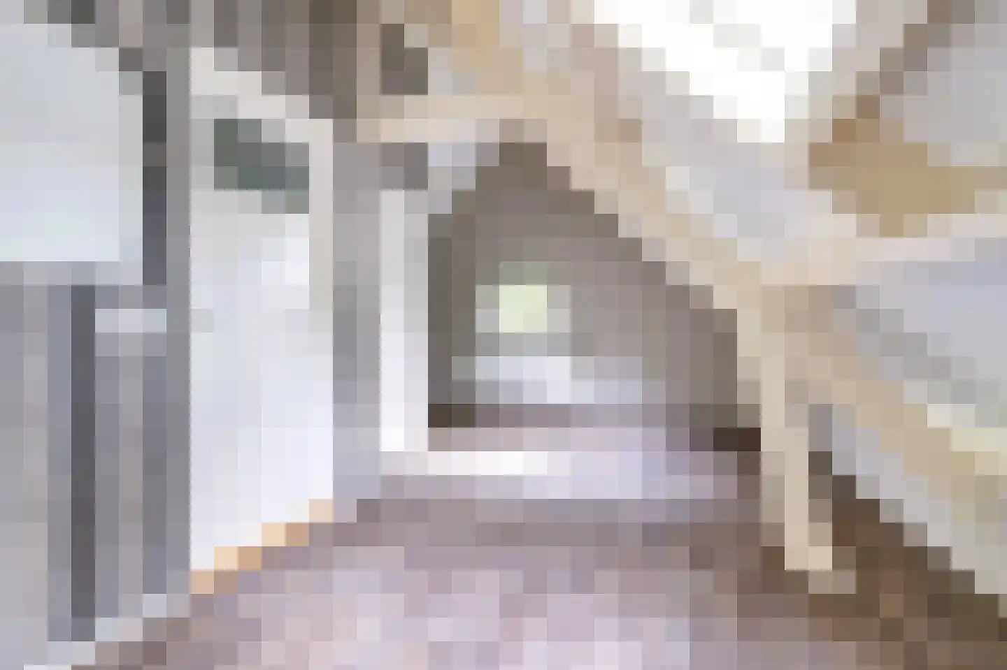 Amerikaweg 5 Beekbergen thumbnail 34