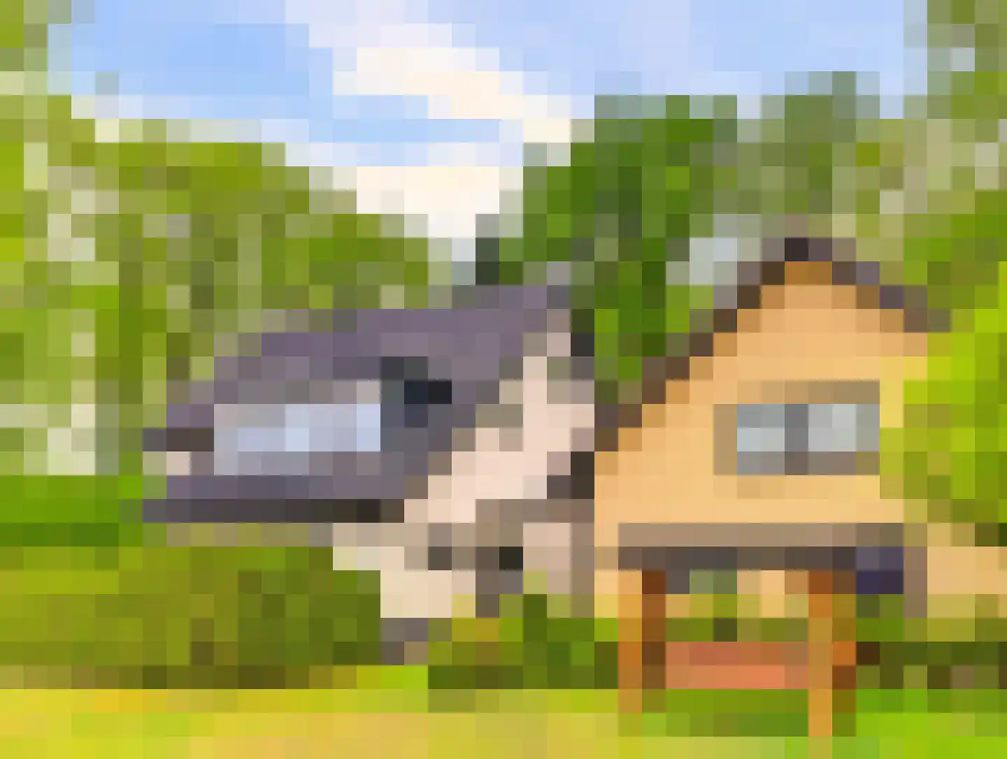 Amerikaweg 5 Beekbergen thumbnail 36