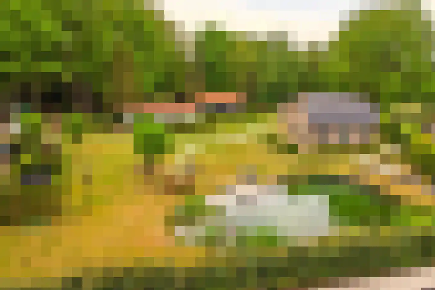 Amerikaweg 5 Beekbergen thumbnail 7