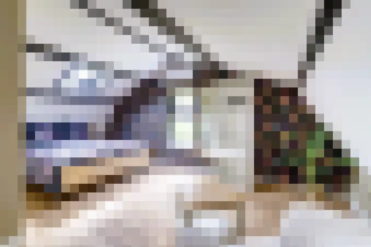 Amerikaweg 5 Beekbergen thumbnail 79