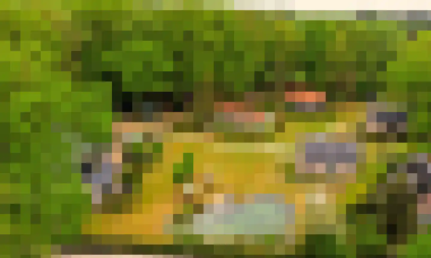 Amerikaweg 5 Beekbergen thumbnail 9