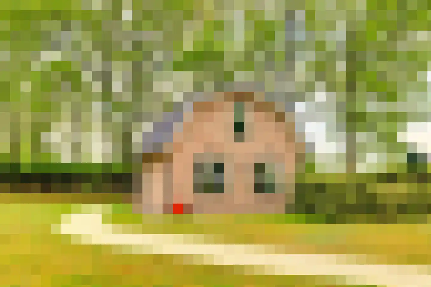 Amerikaweg 5 Beekbergen thumbnail 95