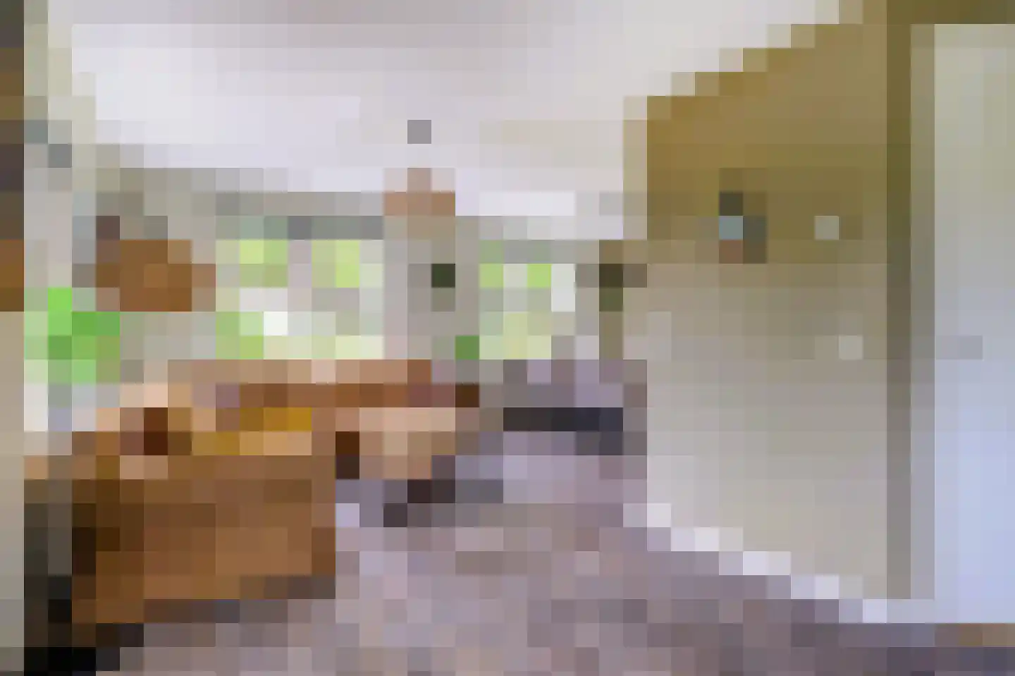 Amerikaweg 5 Beekbergen thumbnail 97