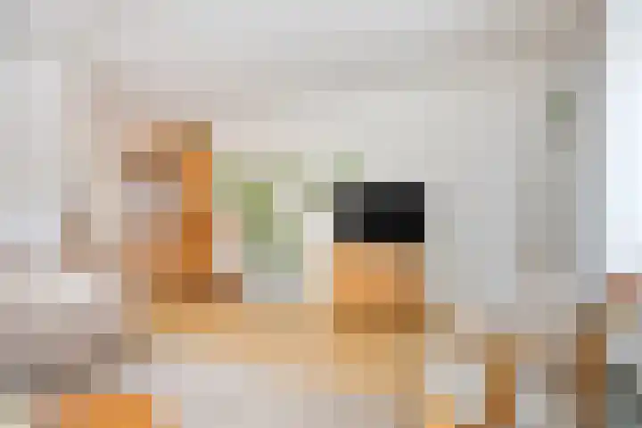 Amerlaan 16 Eindhoven thumbnail 11