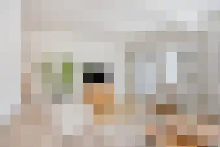 Amerlaan 16 Eindhoven thumbnail 12