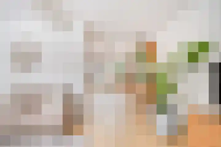 Amerlaan 16 Eindhoven thumbnail 13