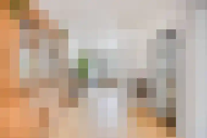 Amerlaan 16 Eindhoven thumbnail 14
