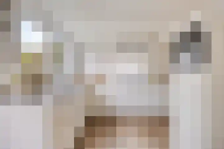 Amerlaan 16 Eindhoven thumbnail 20