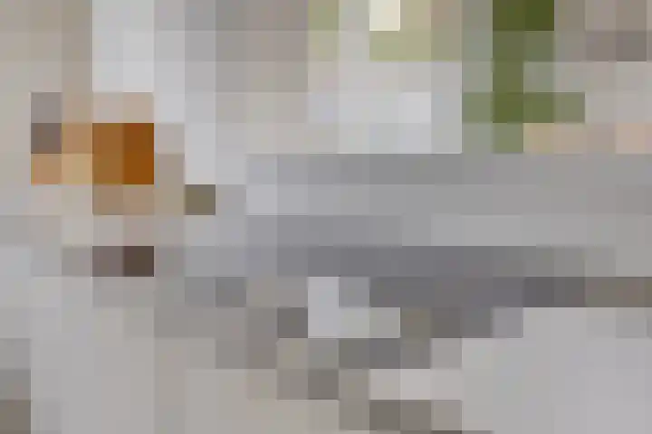 Amerlaan 16 Eindhoven thumbnail 23