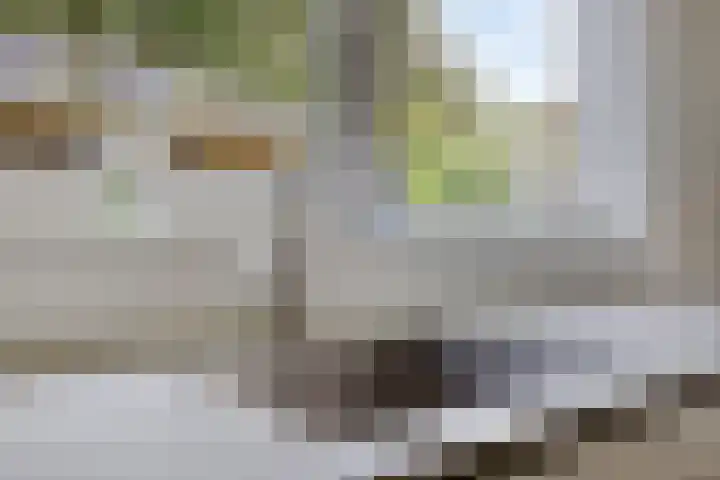 Amerlaan 16 Eindhoven thumbnail 24