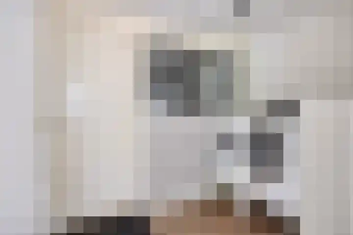 Amerlaan 16 Eindhoven thumbnail 25