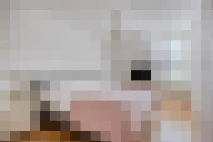 Amerlaan 16 Eindhoven thumbnail 31