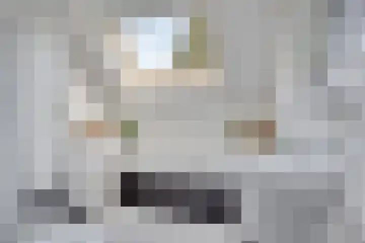 Amerlaan 16 Eindhoven thumbnail 32