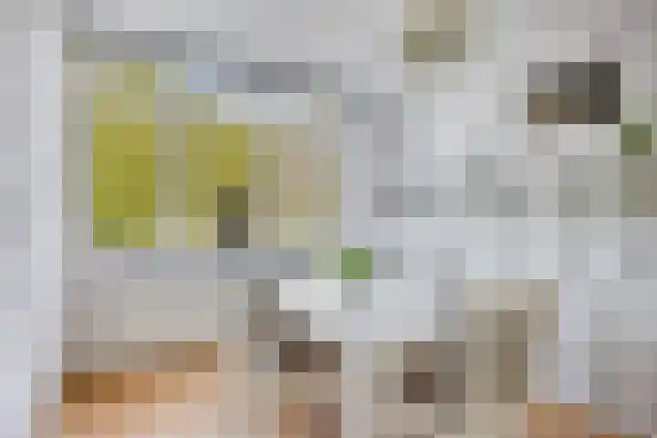 Amerlaan 16 Eindhoven thumbnail 35