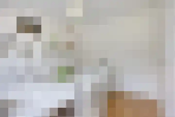 Amerlaan 16 Eindhoven thumbnail 36