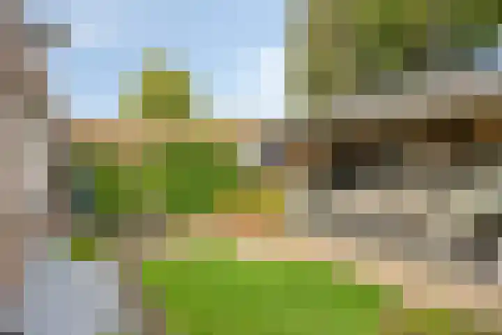 Amerlaan 16 Eindhoven thumbnail 44