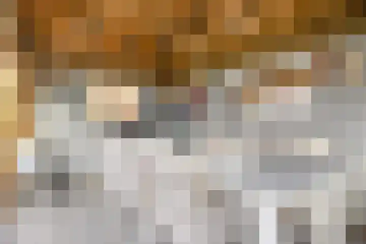 Amerlaan 16 Eindhoven thumbnail 47