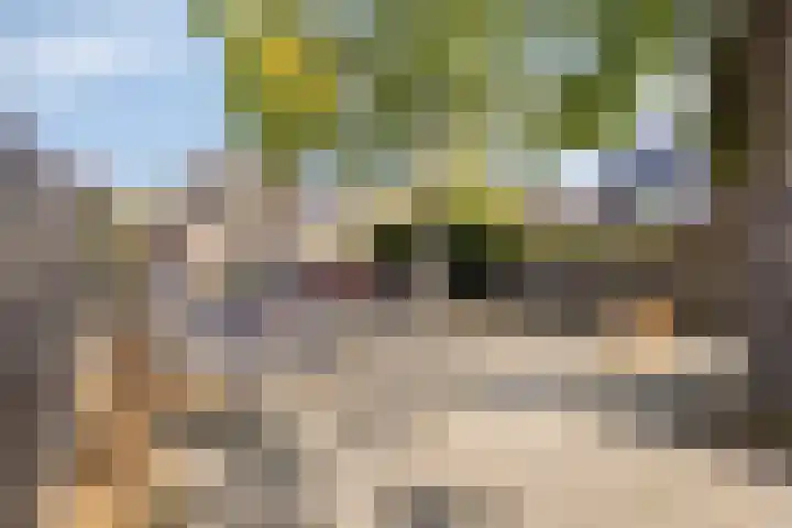 Amerlaan 16 Eindhoven thumbnail 51