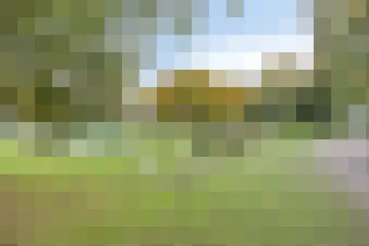 Amerlaan 16 Eindhoven thumbnail 54