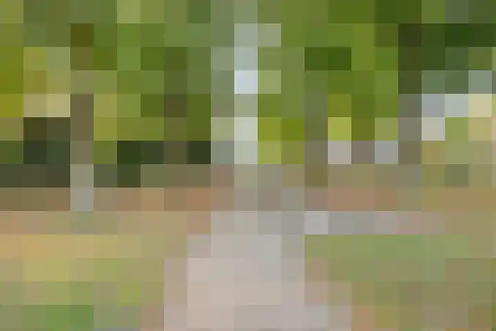 Amerlaan 16 Eindhoven thumbnail 55