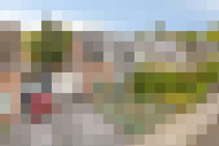 Amerlaan 16 Eindhoven thumbnail 59