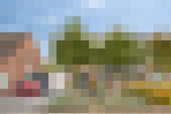 Amerlaan 16 Eindhoven thumbnail 6