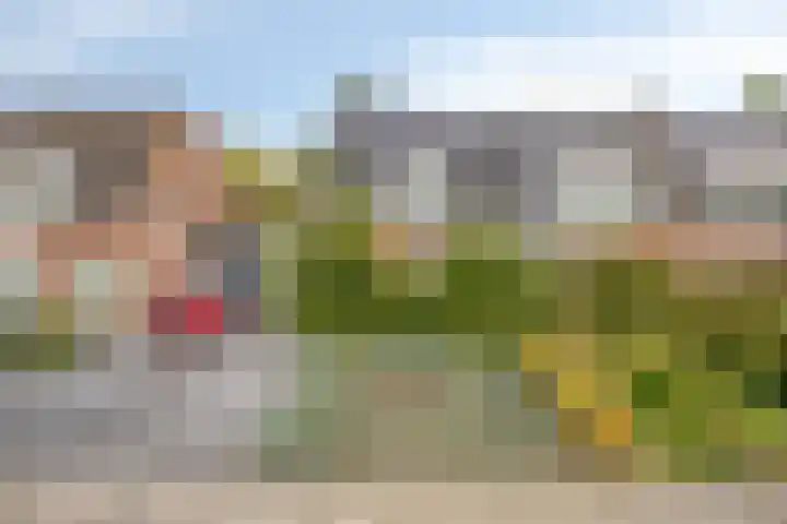 Amerlaan 16 Eindhoven thumbnail 61