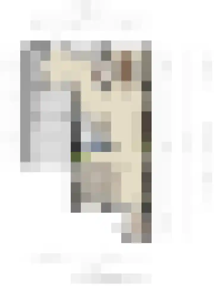 Amerlaan 16 Eindhoven thumbnail 62