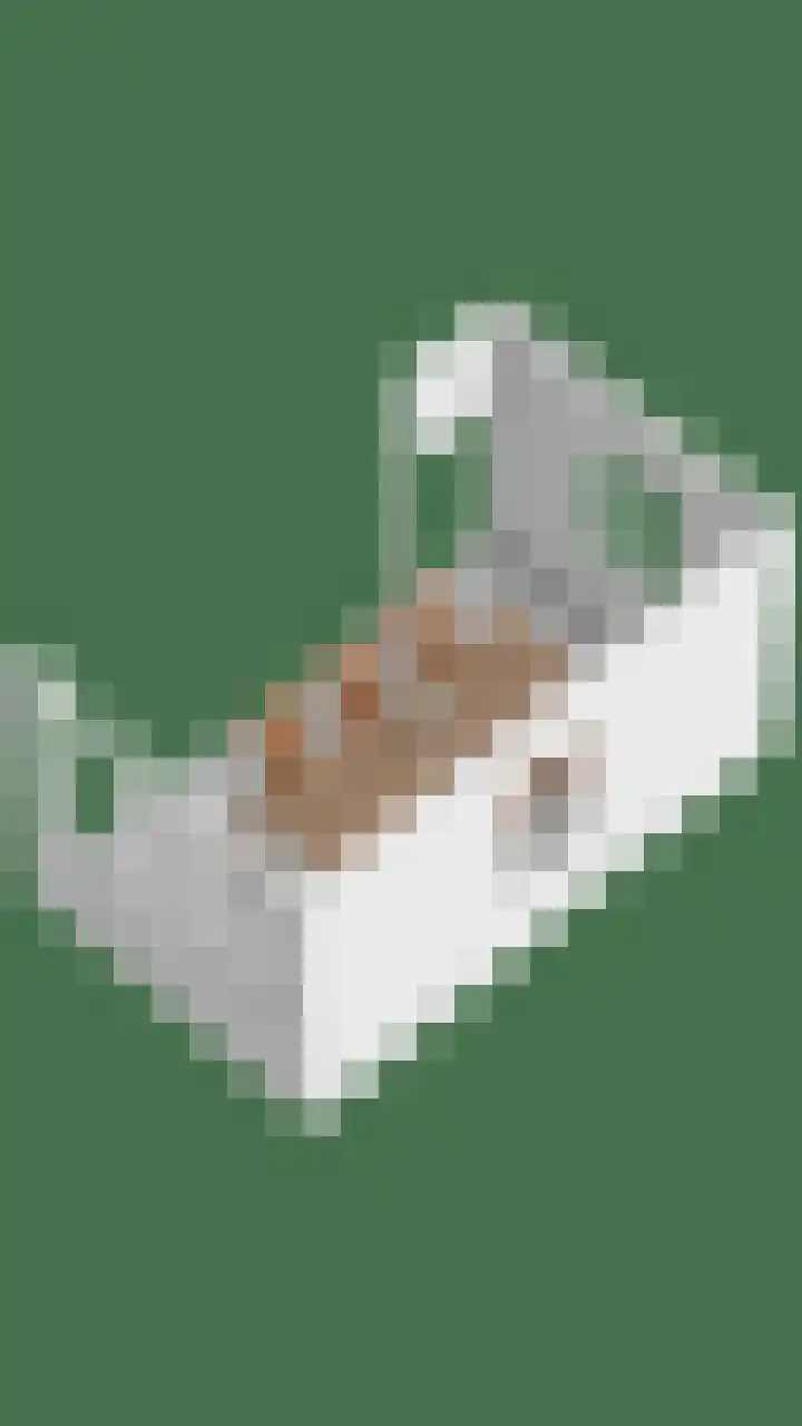 Amerlaan 16 Eindhoven thumbnail 69