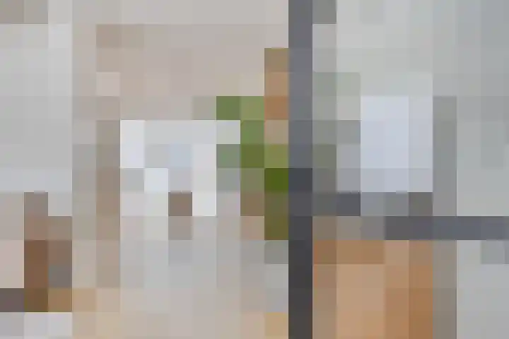 Amerlaan 16 Eindhoven thumbnail 9