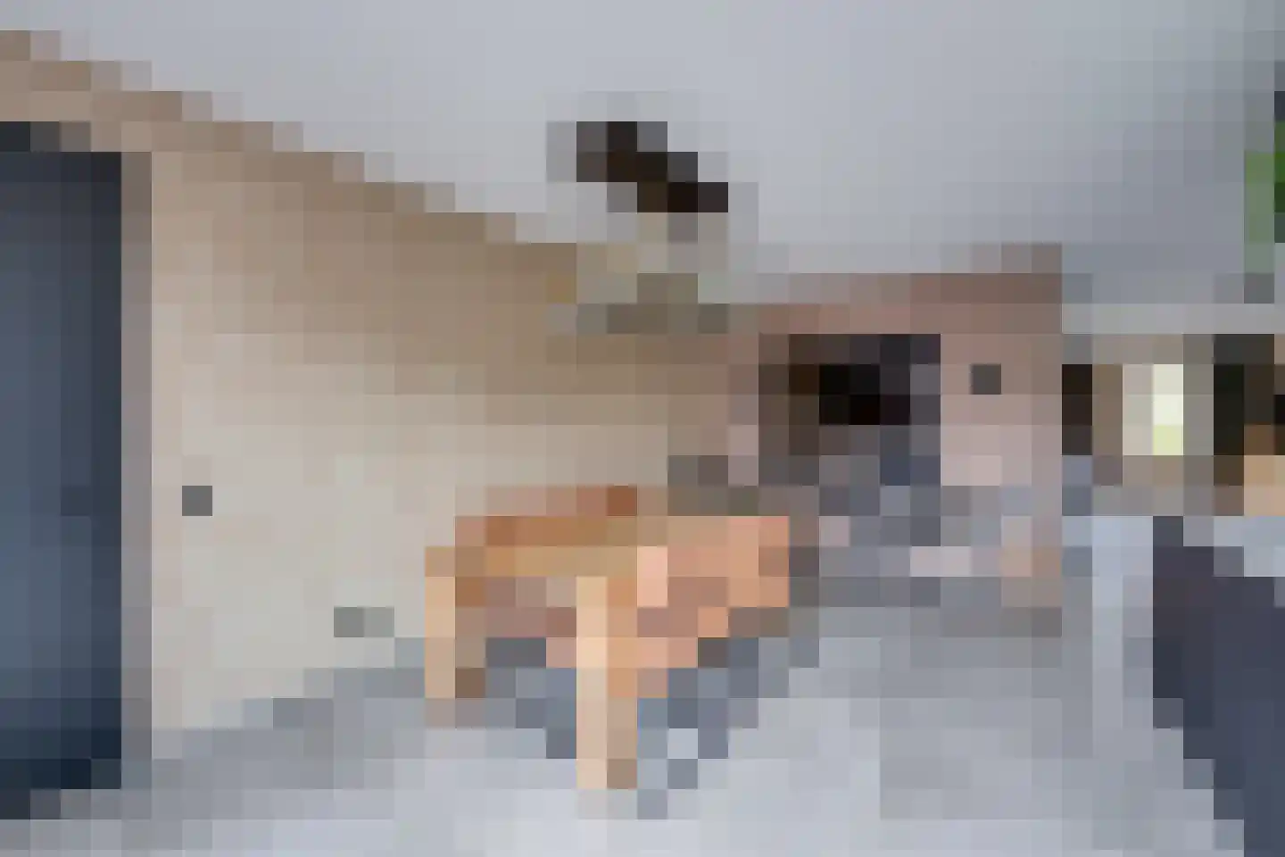 Amerlaan 26 Fijnaart thumbnail 15